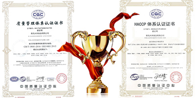 新奧爾良風(fēng)味腌料批發(fā)-青島大豐食品