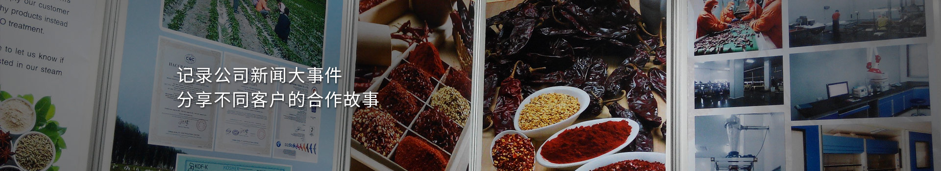 大豐食品：記錄公司新聞大事件，分享不同客戶的合作故事